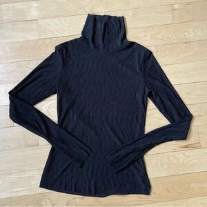 Black See-Through Turtleneck Long Sleeve Top